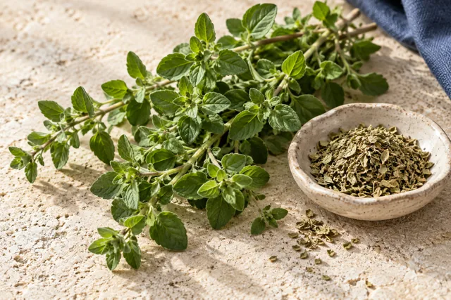 AI-illustratie van Oregano