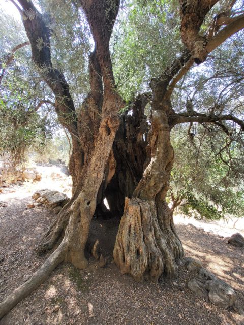West Kreta — foto 165