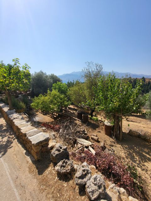 West Kreta — foto 136