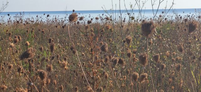 West Kreta — foto 73