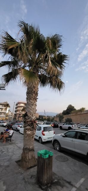 West Kreta — foto 173