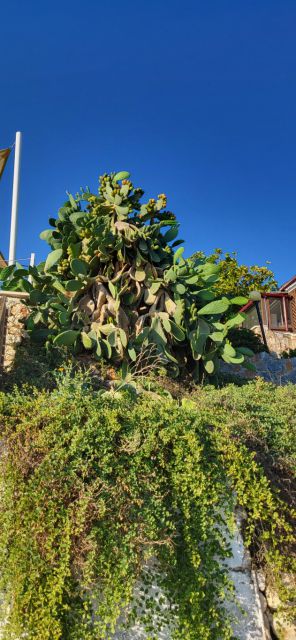 West Kreta — foto 56