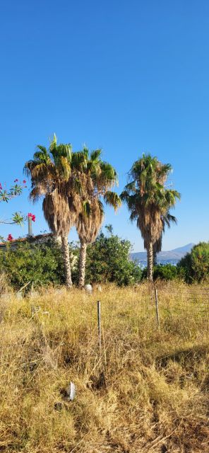 West Kreta — foto 59