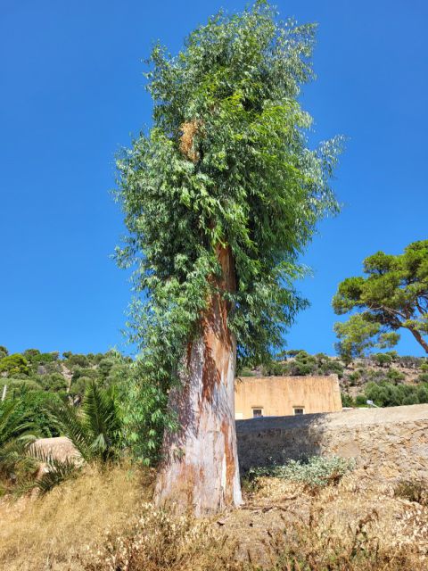 West Kreta — foto 158