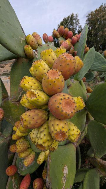 Oost Kreta — foto 1