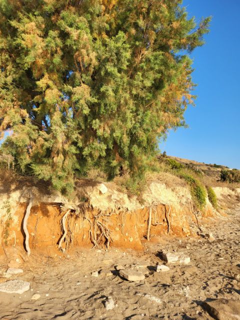 West Kreta — foto 164