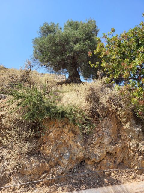West Kreta — foto 167
